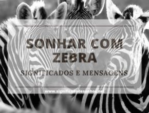 Sonhos com zebras: quais os significados?